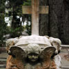 Bonaventure Cemetery October 2008