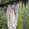 Bonaventure Cemetery October 2008