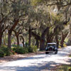 Monument in Bonaventure Cemetery March 2007