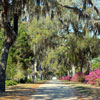 Monument in Bonaventure Cemetery March 2007