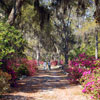 Monument in Bonaventure Cemetery March 2007