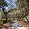 Monument in Bonaventure Cemetery March 2007