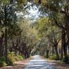 Monument in Bonaventure Cemetery March 2007