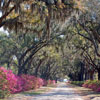 Monument in Bonaventure Cemetery March 2007