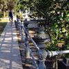 Bonaventure Cemetery in Savannah Georgia October 2009