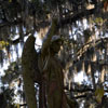 Bonaventure Cemetery in Savannah Georgia October 2009