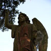 Bonaventure Cemetery in Savannah Georgia October 2009