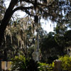 Bonaventure Cemetery in Savannah Georgia October 2009