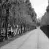 Colonial Park Cemetery in Savannah, Georgia Winter 1960