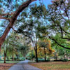 Forsyth Park in Savannah November 2012