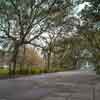 Forsyth Park in Savannah photo, March 2015