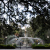 Forsyth Park in Savannah, October 2008