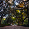 Forsyth Park in Savannah, October 2008