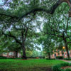 Greene Square in Savannah, June 2013