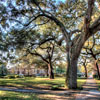 Savannah, Georgia Greene Square photo, November 2012