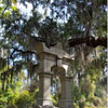 Laurel Grove Cemetery in Savannah, Georgia November 2012