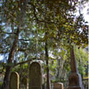 Laurel Grove Cemetery in Savannah, Georgia November 2012