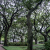 Savannah, Pulaski Square photo, June 2013