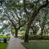 Savannah, Pulaski Square photo, November 2013