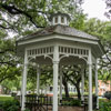 Savannah, Whitefield Square photo, June 2013