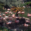 San Diego Sea World, Summer 1985