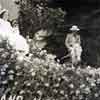 Shirley Temple in Tournament of Roses Parade 1939