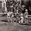 Shirley Temple and the cast of War Babies, 1932