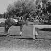 Lon McAllister and Shirley Temple, The Story of Seabiscuit, 1949