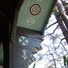 Fantasyland Skyway Station, 2008