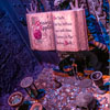 Disneyland's Snow White's Scary Adventures February 2013