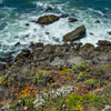 Bodega Bay and Pacific Coast Highway 1 area photo, July 2013