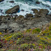 Bodega Bay and Pacific Coast Highway 1 area photo, July 2013