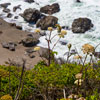 Bodega Bay and Pacific Coast Highway 1 area photo, July 2013