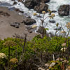 Bodega Bay and Pacific Coast Highway 1 area photo, July 2013