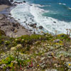 Bodega Bay and Pacific Coast Highway 1 area photo, July 2013