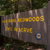 Armstrong Redwoods State Natural Reserve photo, July 2013