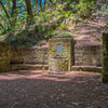 Armstrong Redwoods State Natural Reserve photo, July 2013