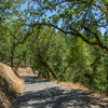 Armstrong Redwoods State Natural Reserve photo, July 2013