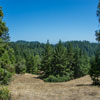 Armstrong Redwoods State Natural Reserve photo, July 2013