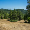 Armstrong Redwoods State Natural Reserve photo, July 2013