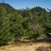 Armstrong Redwoods State Natural Reserve photo, July 2013