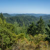 Armstrong Redwoods State Natural Reserve photo, July 2013