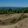 Armstrong Redwoods State Natural Reserve photo, July 2013