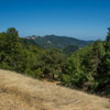 Armstrong Redwoods State Natural Reserve photo, July 2013