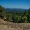 Armstrong Redwoods State Natural Reserve photo, July 2013