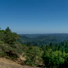 Armstrong Redwoods State Natural Reserve photo, July 2013