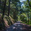 Armstrong Redwoods State Natural Reserve photo, July 2013