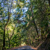 Armstrong Redwoods State Natural Reserve photo, July 2013