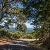 Armstrong Redwoods State Natural Reserve photo, July 2013