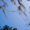 Armstrong Redwoods State Natural Reserve photo, July 2013